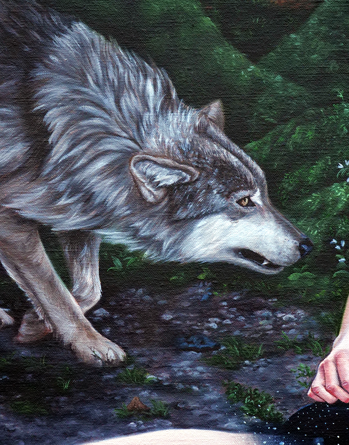 detail of wolf surrender christina ridgeway
